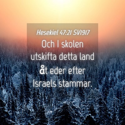 Picture 04 - Hesekiel 47:21 SV1917 - Och I skolen utskifta detta land åt eder efter - Bible Verse Picture