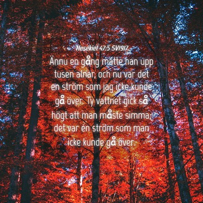 Picture 04 - Hesekiel 47:5 SV1917 - Ännu en gång mätte han upp tusen alnar, och nu - Bible Verse Picture