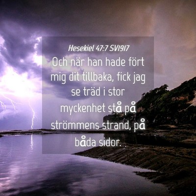 Picture 04 - Hesekiel 47:7 SV1917 - Och när han hade fört mig dit tillbaka, fick - Bible Verse Picture
