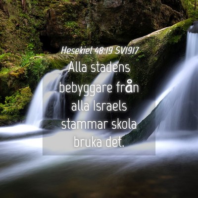 Picture 04 - Hesekiel 48:19 SV1917 - Alla stadens bebyggare från alla Israels stammar - Bible Verse Picture