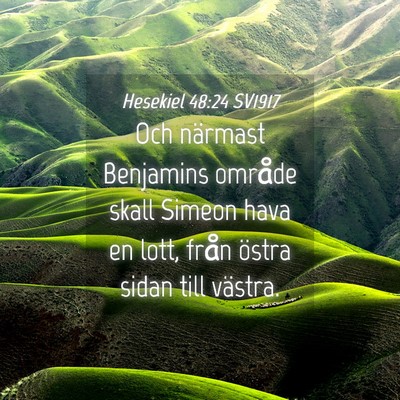 Picture 04 - Hesekiel 48:24 SV1917 - Och närmast Benjamins område skall Simeon hava - Bible Verse Picture