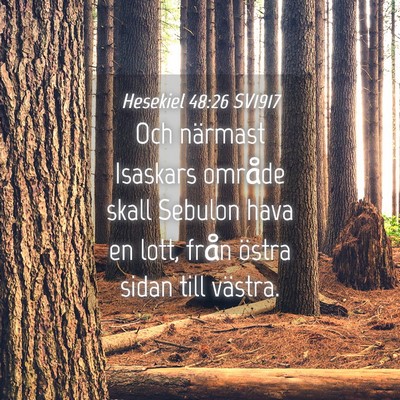 Picture 04 - Hesekiel 48:26 SV1917 - Och närmast Isaskars område skall Sebulon hava - Bible Verse Picture