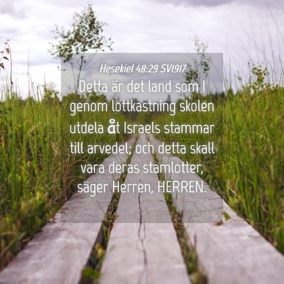 Picture 04 - Hesekiel 48:29 SV1917 - Detta är det land som I genom lottkastning - Bible Verse Picture