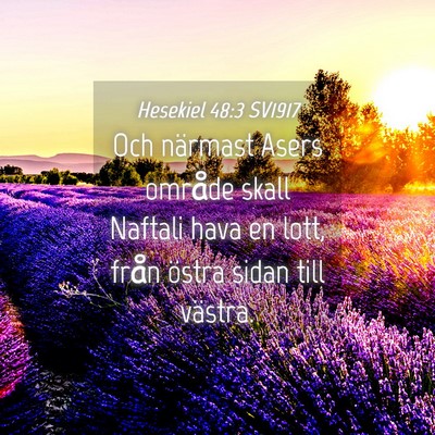 Picture 04 - Hesekiel 48:3 SV1917 - Och närmast Asers område skall Naftali hava en - Bible Verse Picture
