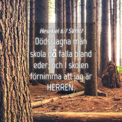 Picture 04 - Hesekiel 6:7 SV1917 - Dödsslagna män skola då falla bland eder; och - Bible Verse Picture