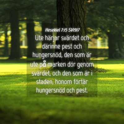 Picture 04 - Hesekiel 7:15 SV1917 - Ute härjar svärdet och därinne pest och - Bible Verse Picture