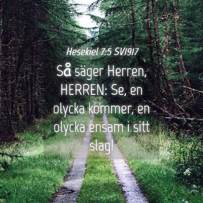 Picture 04 - Hesekiel 7:5 SV1917 - Så säger Herren, HERREN: Se, en olycka kommer, - Bible Verse Picture