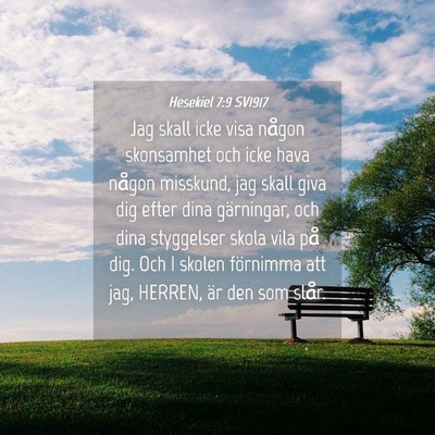 Picture 04 - Hesekiel 7:9 SV1917 - Jag skall icke visa någon skonsamhet och icke - Bible Verse Picture