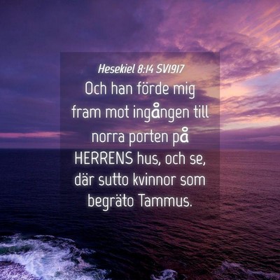 Picture 04 - Hesekiel 8:14 SV1917 - Och han förde mig fram mot ingången till norra - Bible Verse Picture