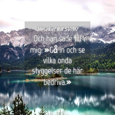 Picture 04 - Hesekiel 8:9 SV1917 - Och han sade till mig: »Gå in och se vilka onda - Bible Verse Picture