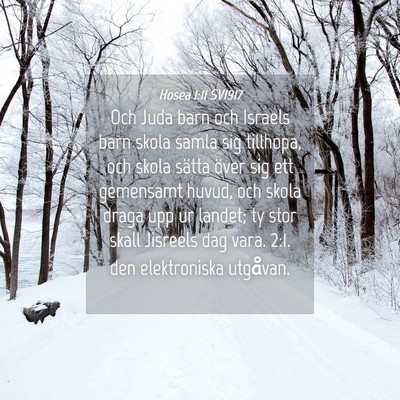 Picture 04 - Hosea 1:11 SV1917 - Och Juda barn och Israels barn skola samla sig - Bible Verse Picture