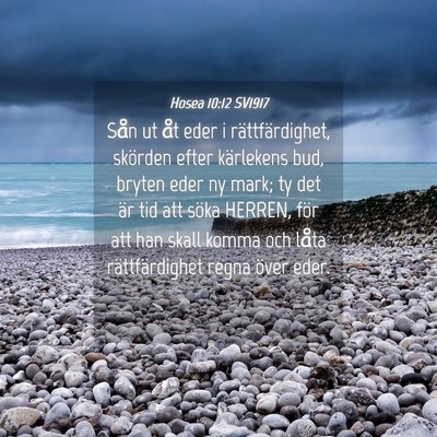 Picture 04 - Hosea 10:12 SV1917 - Sån ut åt eder i rättfärdighet, skörden - Bible Verse Picture