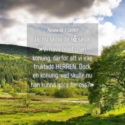 Picture 04 - Hosea 10:3 SV1917 - Ja, nu skola de få säga: »Vi hava blivit utan - Bible Verse Picture