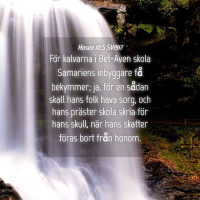 Picture 04 - Hosea 10:5 SV1917 - För kalvarna i Bet-Aven skola Samariens - Bible Verse Picture