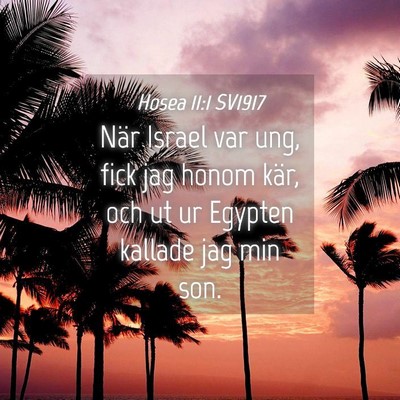 Picture 04 - Hosea 11:1 SV1917 - När Israel var ung, fick jag honom kär, och ut - Bible Verse Picture