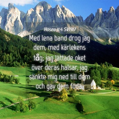 Picture 04 - Hosea 11:4 SV1917 - Med lena band drog jag dem, med kärlekens tåg; - Bible Verse Picture