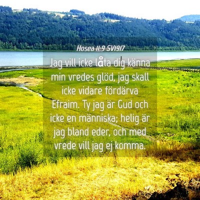 Picture 04 - Hosea 11:9 SV1917 - Jag vill icke låta dig känna min vredes glöd, - Bible Verse Picture