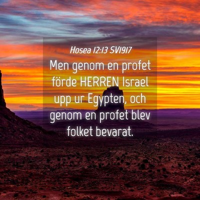 Picture 04 - Hosea 12:13 SV1917 - Men genom en profet förde HERREN Israel upp ur - Bible Verse Picture