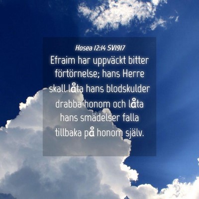 Picture 04 - Hosea 12:14 SV1917 - Efraim har uppväckt bitter förtörnelse; hans - Bible Verse Picture