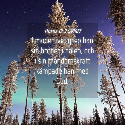 Picture 04 - Hosea 12:3 SV1917 - I moderlivet grep han sin broder i hälen, och i - Bible Verse Picture