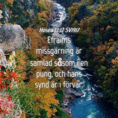 Picture 04 - Hosea 13:12 SV1917 - Efraims missgärning är samlad såsom i en pung, - Bible Verse Picture