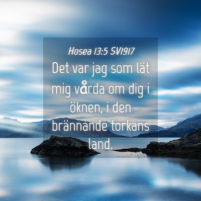 Picture 04 - Hosea 13:5 SV1917 - Det var jag som lät mig vårda om dig i öknen, - Bible Verse Picture