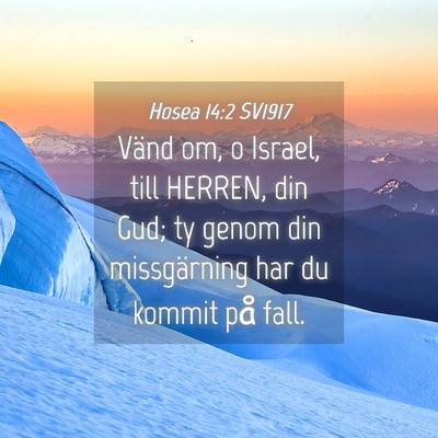 Picture 04 - Hosea 14:2 SV1917 - Vänd om, o Israel, till HERREN, din Gud; ty - Bible Verse Picture