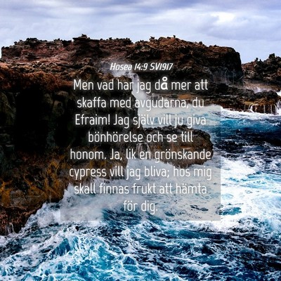 Picture 04 - Hosea 14:9 SV1917 - Men vad har jag då mer att skaffa med avgudarna, - Bible Verse Picture