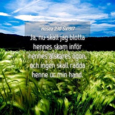 Picture 04 - Hosea 2:10 SV1917 - Ja, nu skall jag blotta hennes skam inför hennes - Bible Verse Picture