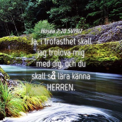 Picture 04 - Hosea 2:20 SV1917 - Ja, i trofasthet skall jag trolova mig med dig, - Bible Verse Picture
