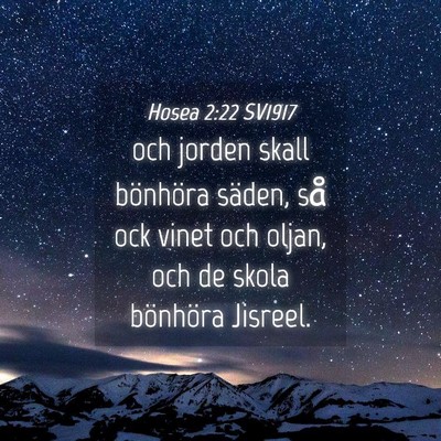 Picture 04 - Hosea 2:22 SV1917 - och jorden skall bönhöra säden, så ock vinet - Bible Verse Picture
