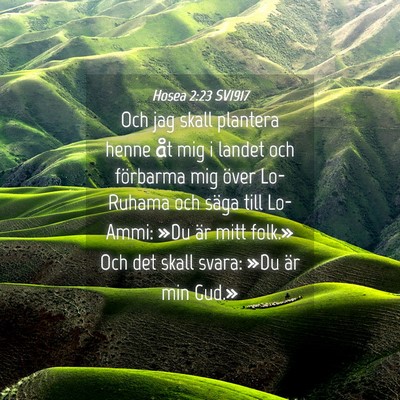 Picture 04 - Hosea 2:23 SV1917 - Och jag skall plantera henne åt mig i landet och - Bible Verse Picture