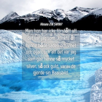 Picture 04 - Hosea 2:8 SV1917 - Men hon har icke förstått att det var jag som - Bible Verse Picture