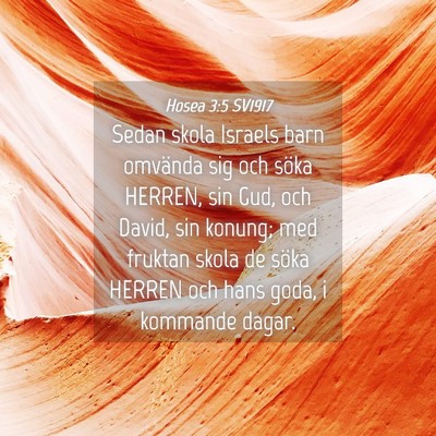 Picture 04 - Hosea 3:5 SV1917 - Sedan skola Israels barn omvända sig och söka - Bible Verse Picture