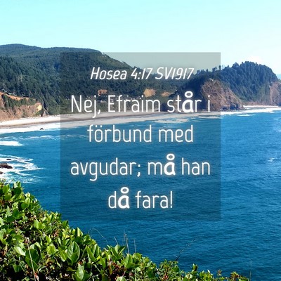 Picture 04 - Hosea 4:17 SV1917 - Nej, Efraim står i förbund med avgudar; må han - Bible Verse Picture