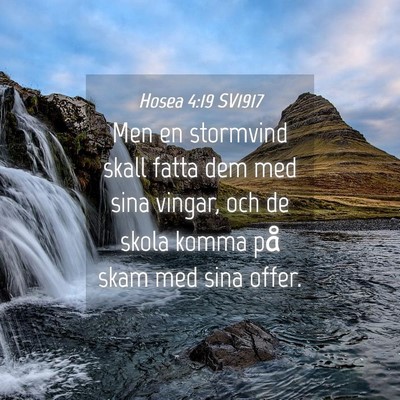Picture 04 - Hosea 4:19 SV1917 - Men en stormvind skall fatta dem med sina vingar, - Bible Verse Picture