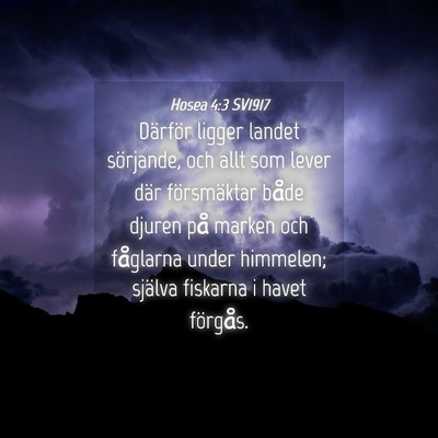 Picture 04 - Hosea 4:3 SV1917 - Därför ligger landet sörjande, och allt som - Bible Verse Picture