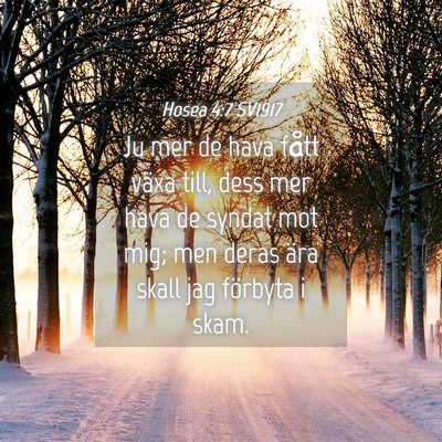 Picture 04 - Hosea 4:7 SV1917 - Ju mer de hava fått växa till, dess mer hava de - Bible Verse Picture