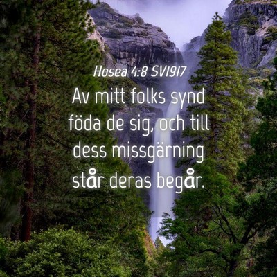 Picture 04 - Hosea 4:8 SV1917 - Av mitt folks synd föda de sig, och till dess - Bible Verse Picture
