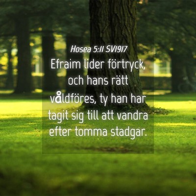 Picture 04 - Hosea 5:11 SV1917 - Efraim lider förtryck, och hans rätt - Bible Verse Picture