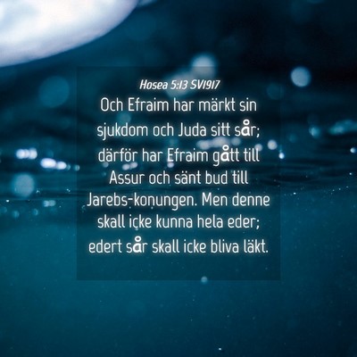 Picture 04 - Hosea 5:13 SV1917 - Och Efraim har märkt sin sjukdom och Juda sitt - Bible Verse Picture