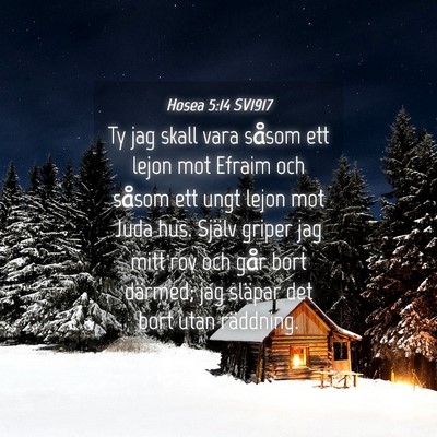 Picture 04 - Hosea 5:14 SV1917 - Ty jag skall vara såsom ett lejon mot Efraim och - Bible Verse Picture