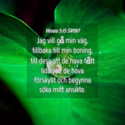Picture 04 - Hosea 5:15 SV1917 - Jag vill gå min väg, tillbaka till min boning, - Bible Verse Picture