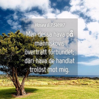 Picture 04 - Hosea 6:7 SV1917 - Men dessa hava på människovis överträtt - Bible Verse Picture