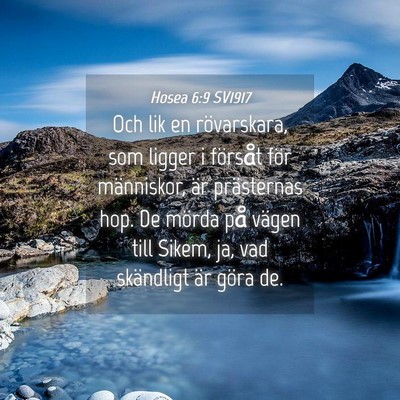 Picture 04 - Hosea 6:9 SV1917 - Och lik en rövarskara, som ligger i försåt - Bible Verse Picture