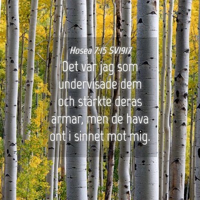 Picture 04 - Hosea 7:15 SV1917 - Det var jag som undervisade dem och stärkte - Bible Verse Picture