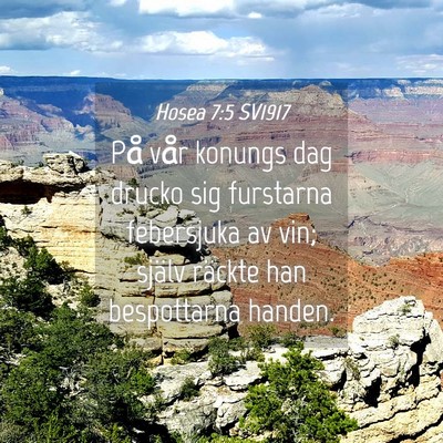 Picture 04 - Hosea 7:5 SV1917 - På vår konungs dag drucko sig furstarna - Bible Verse Picture