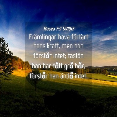 Picture 04 - Hosea 7:9 SV1917 - Främlingar hava förtärt hans kraft, men han - Bible Verse Picture