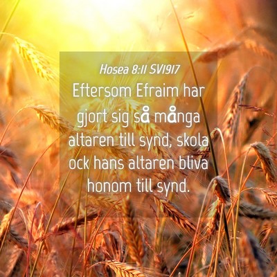 Picture 04 - Hosea 8:11 SV1917 - Eftersom Efraim har gjort sig så många altaren - Bible Verse Picture