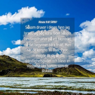 Picture 04 - Hosea 9:10 SV1917 - Såsom druvor i öknen fann jag Israel; jag såg - Bible Verse Picture